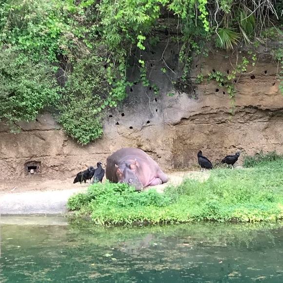 Meet your Posher, Kayla - Picture 1 of 1